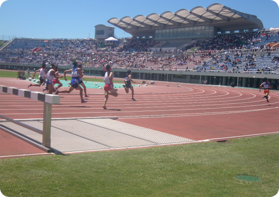 千葉県総合スポーツセンター