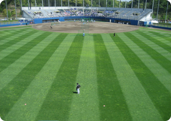 長生の森公園