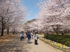 おはなみ広場