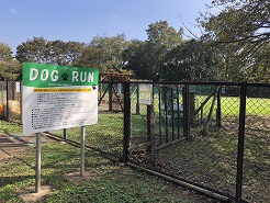 dogrun03