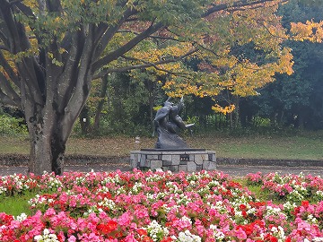 20241118kouyou-1