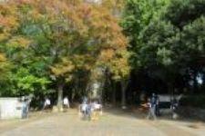 kigyoubora.20241119_2