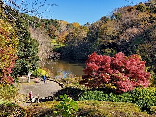 20241130kouyou-2