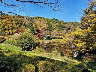 20241130koyou-3