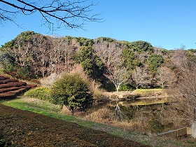 青葉ヶ池風景
