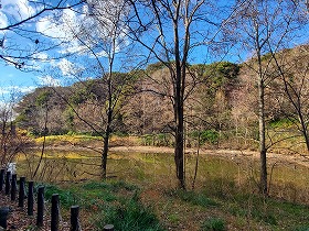 青葉ヶ池風景