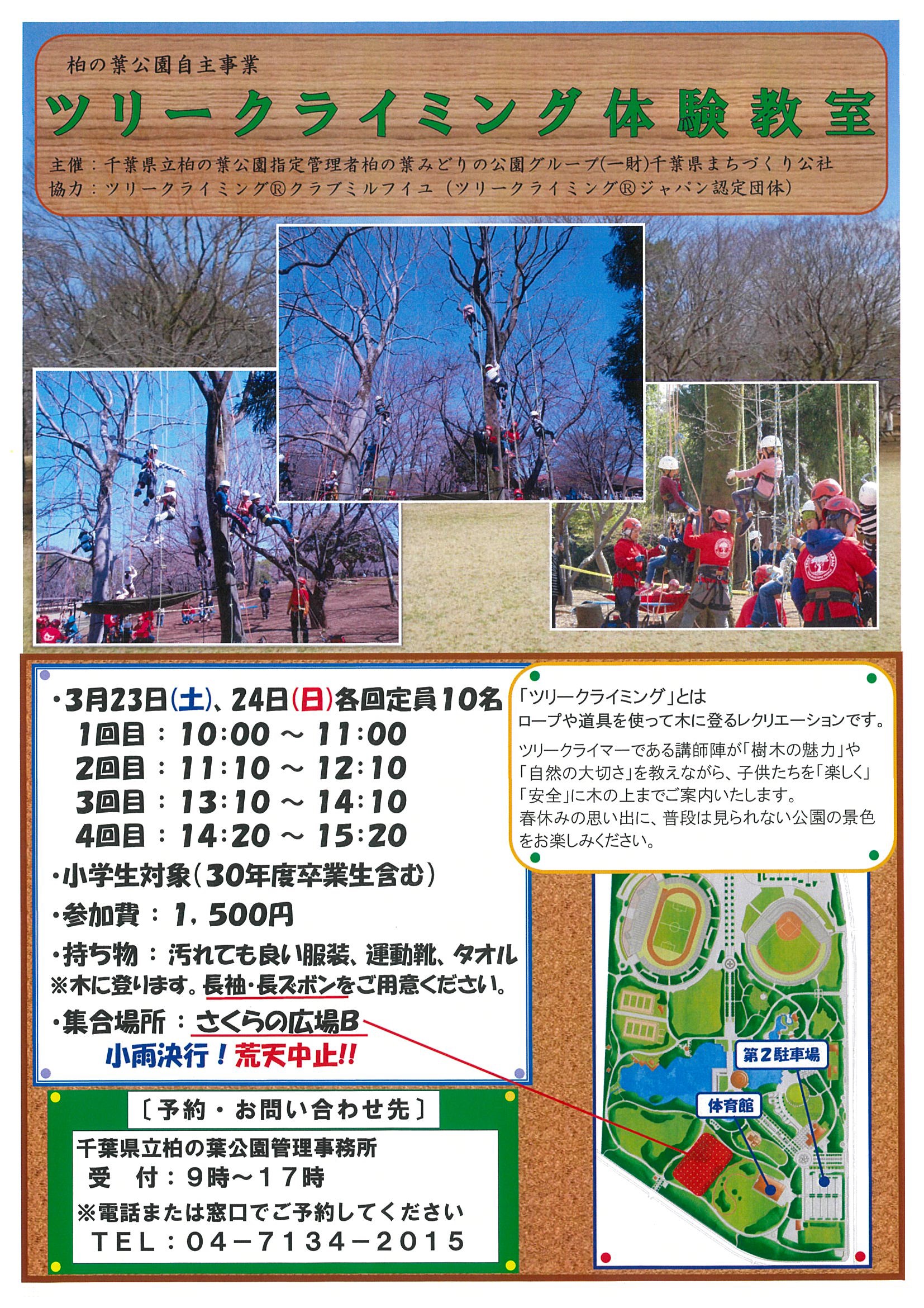 平成30年度ツリークライミング体験教室 千葉県立柏の葉公園