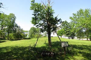 20230501_2 (1)