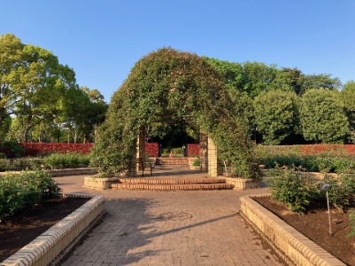 bara20250428.jpg 