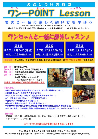 2023onepointlesson