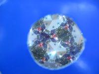 tukusikousaku20260510-2