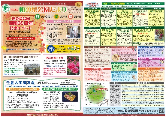 令和6年度 冬号 冬のイベント紹介