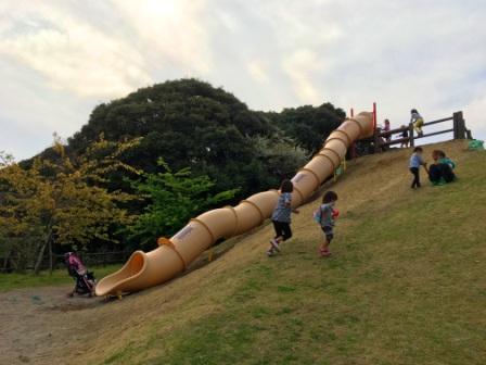 アスレチック広場に新しい遊具が仲間入りしました 千葉県立館山運動公園