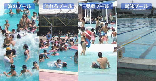 4種類のプール