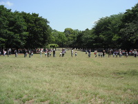 桜の広場風景