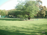 柏の葉公園ドッグラン