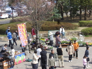 さくらまつり