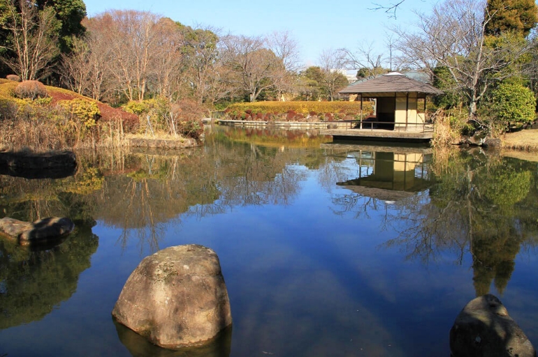 柏の葉公園2